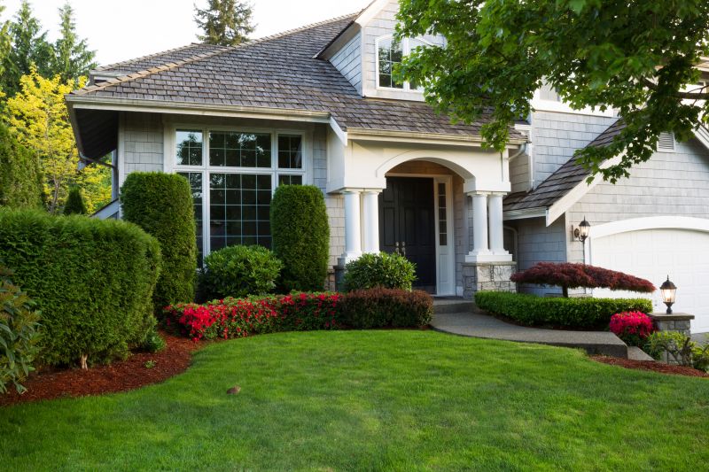 Arborvitae Pruning in Rockwall, TX