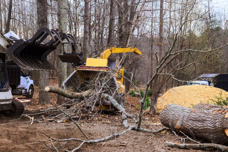 Fallen Tree Removal Equipment