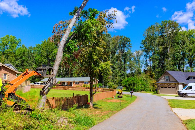 Urban Tree Clearing Equipment