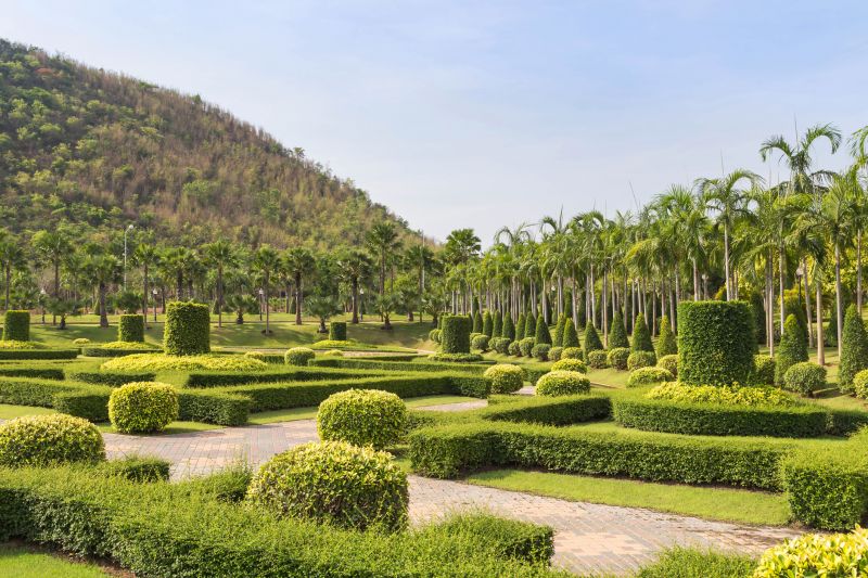 Shaping Trees for Aesthetics