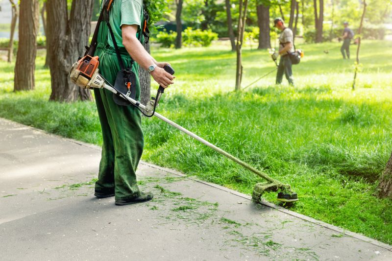 Professional Tree Trimming Equipment